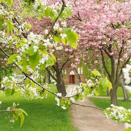 Florida App 2 Dienstag Apartmán *